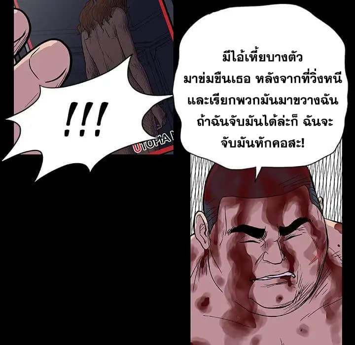 โปรเจ็ควิปริต 9 ภาพที่ 14